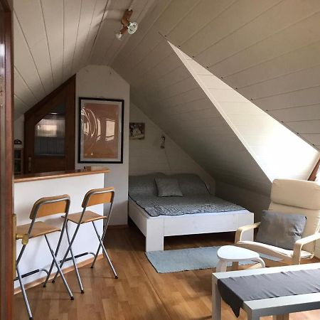 Privat Mini 307 Διαμέρισμα Bešeňová Εξωτερικό φωτογραφία